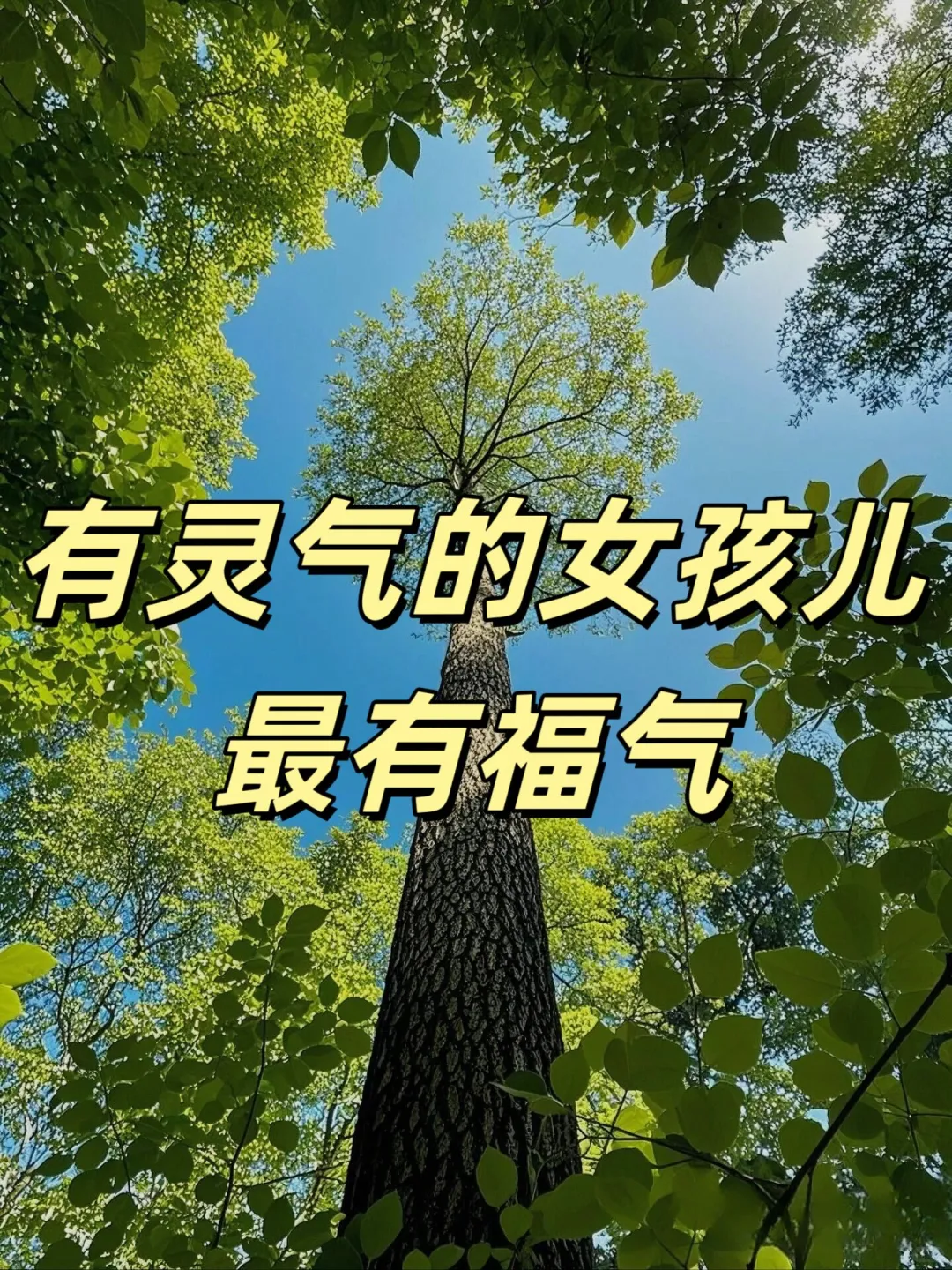 有灵气的女孩儿，最有福气