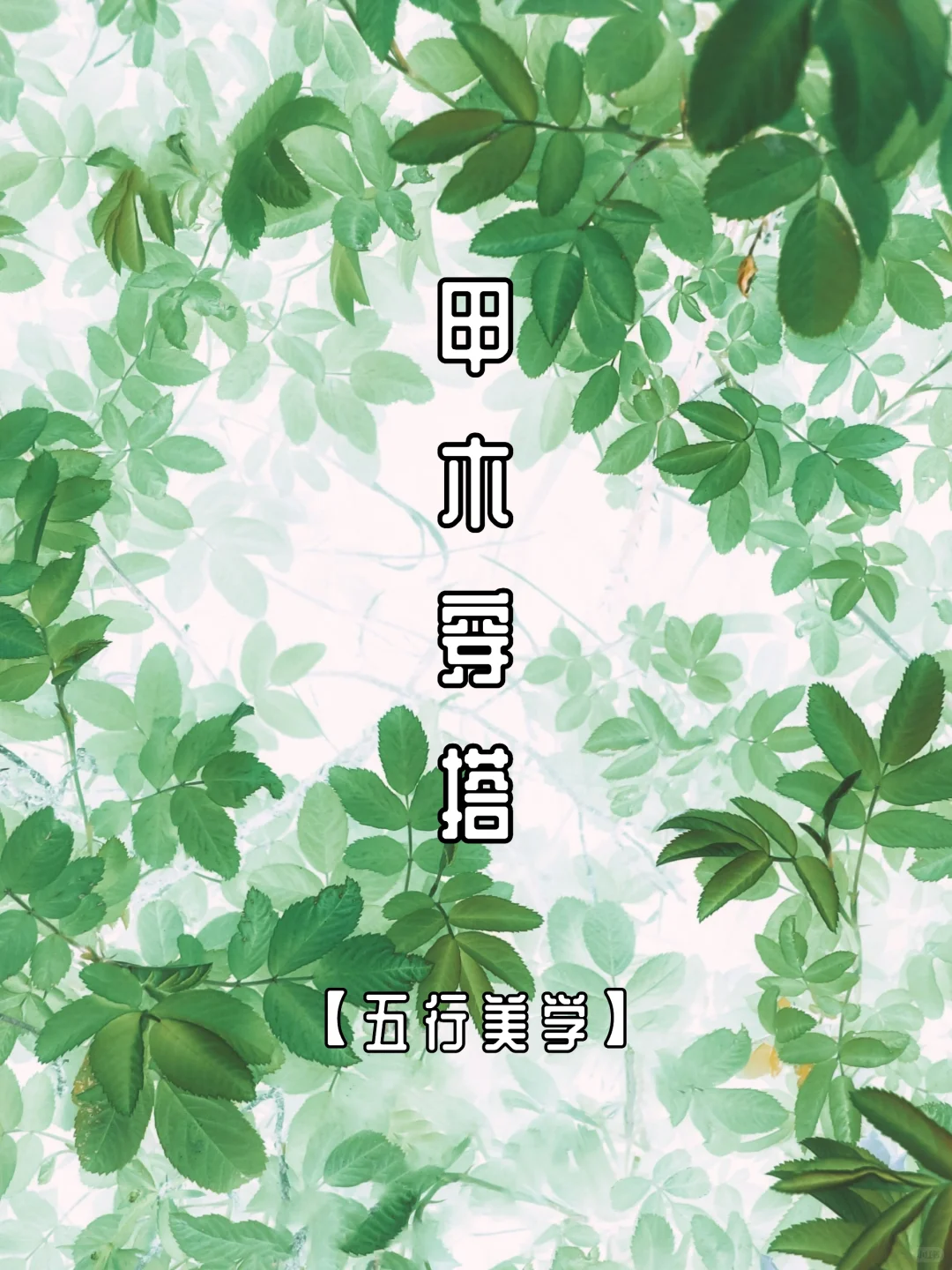 🌲甲木女孩蓄能穿衣指南