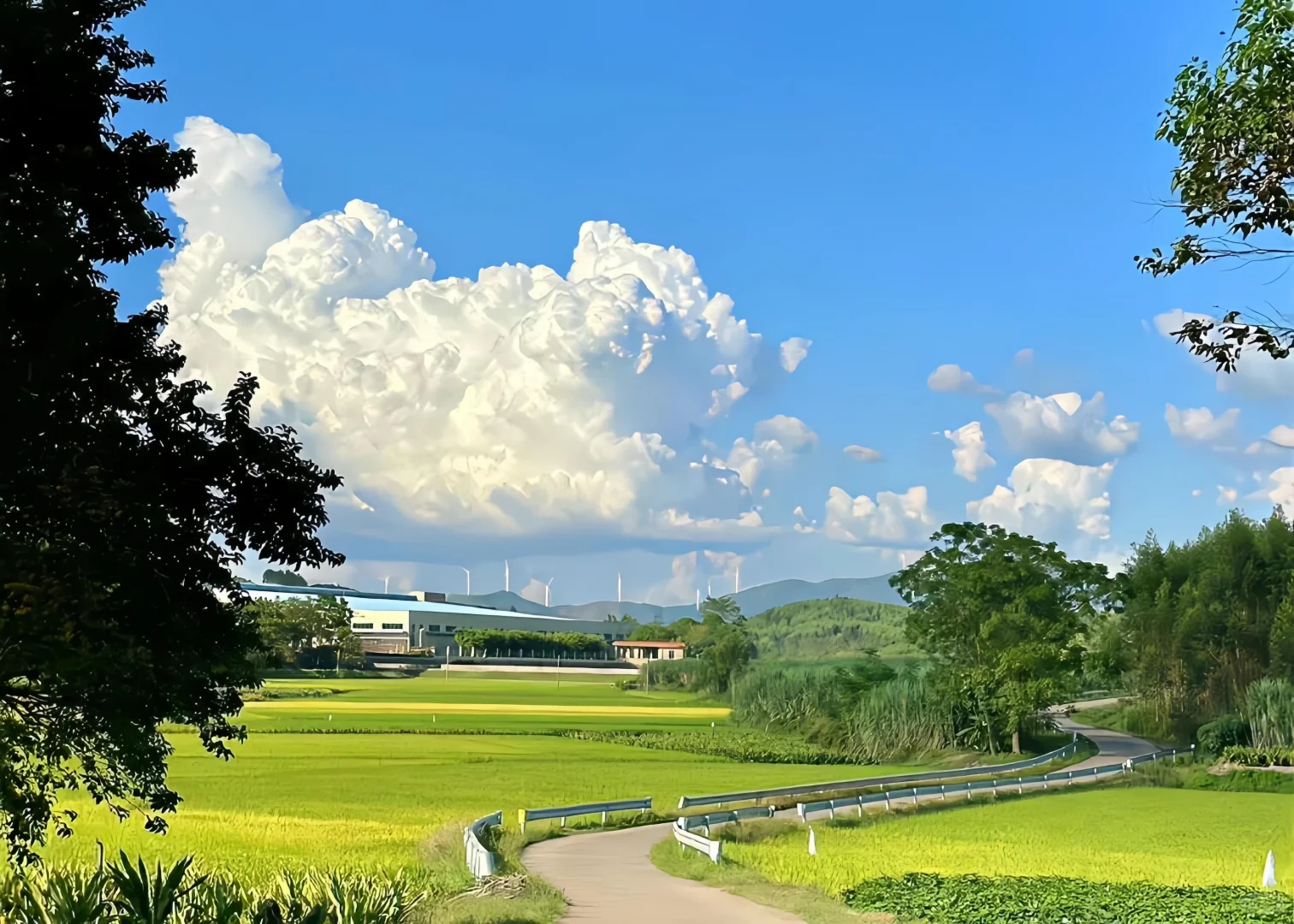 Share | 平板壁纸