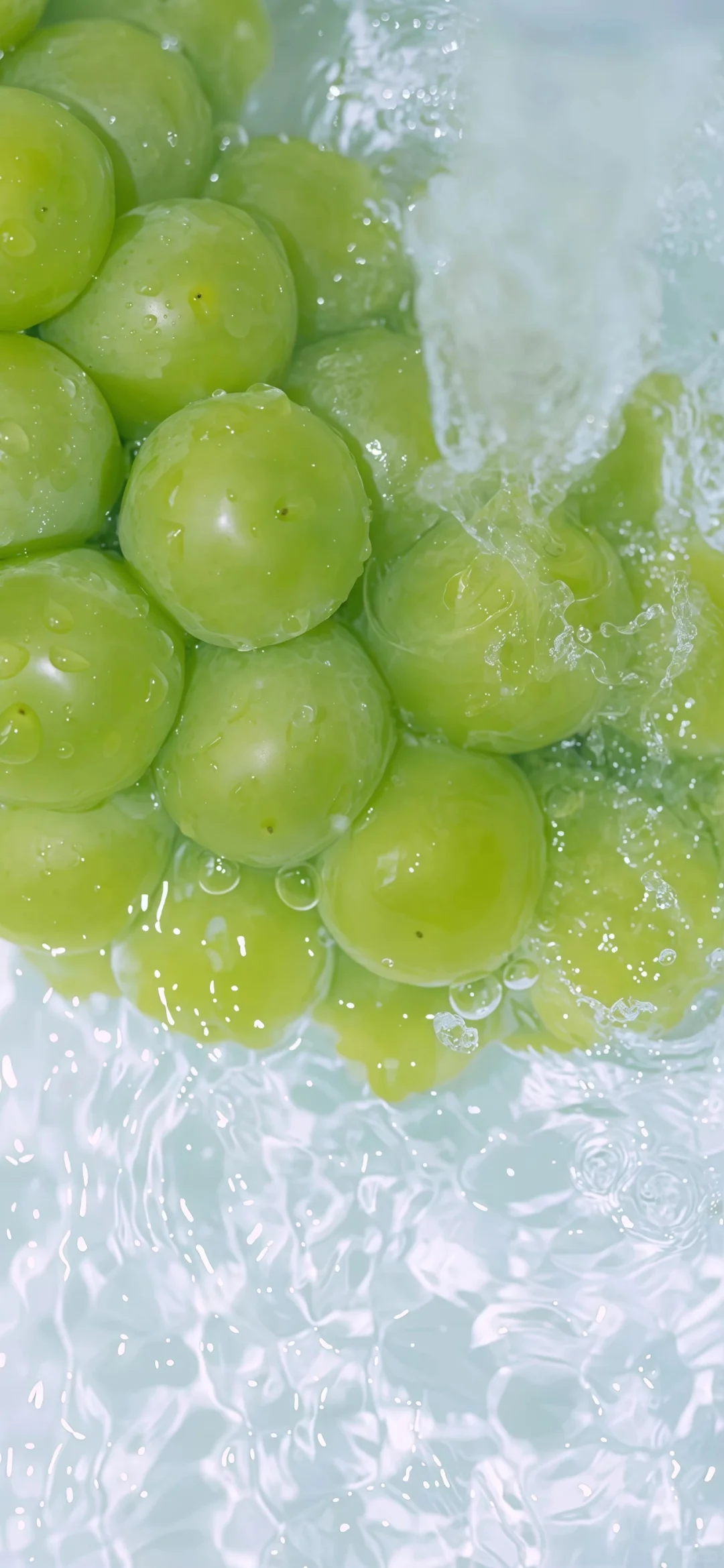 𝙎𝙃𝘼𝙍𝙀 | 清凉壁纸🍋