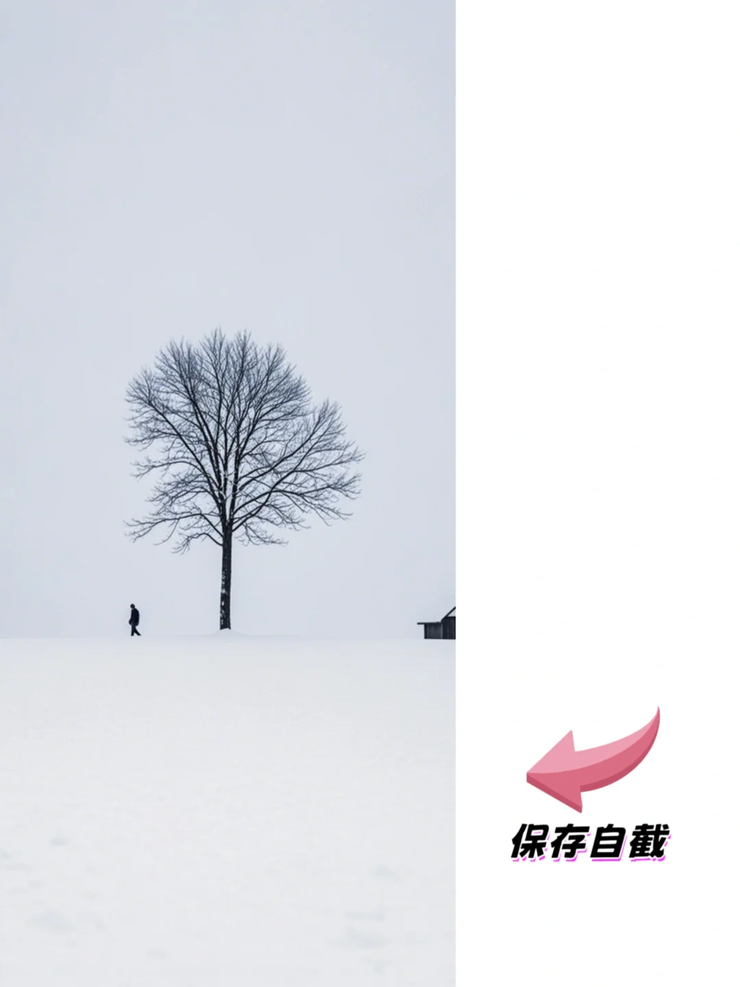 静态壁纸」极简静谧