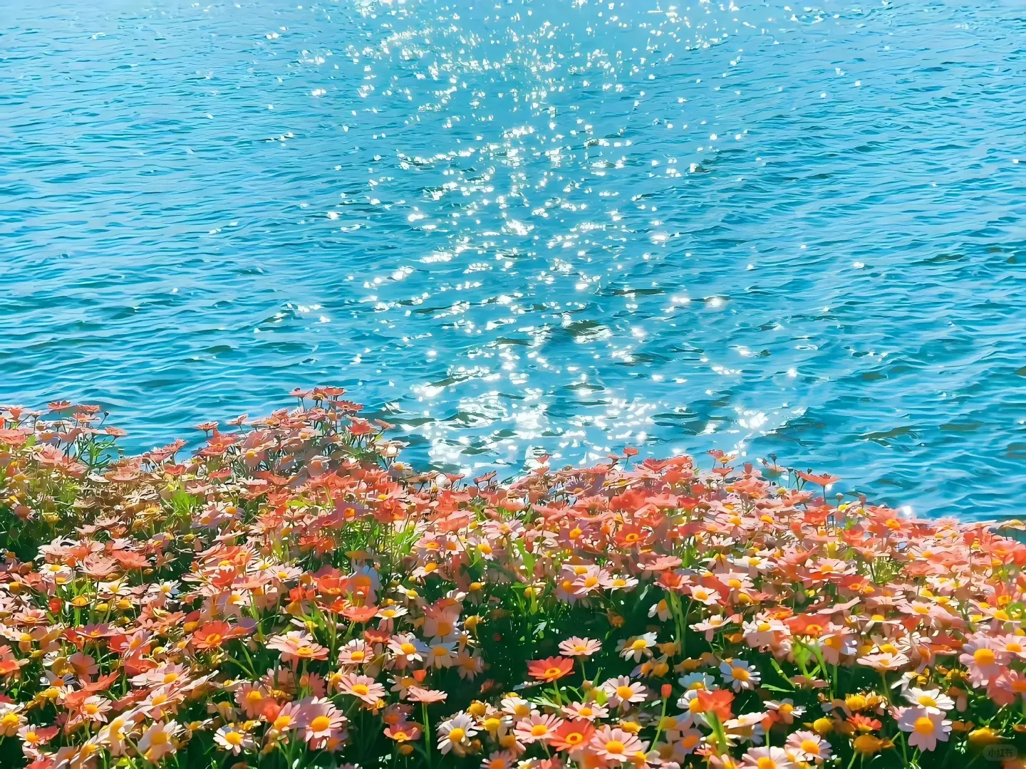 𝑺𝒉𝒂𝒓𝒆｜治愈系风景平板/电脑壁纸🌸
