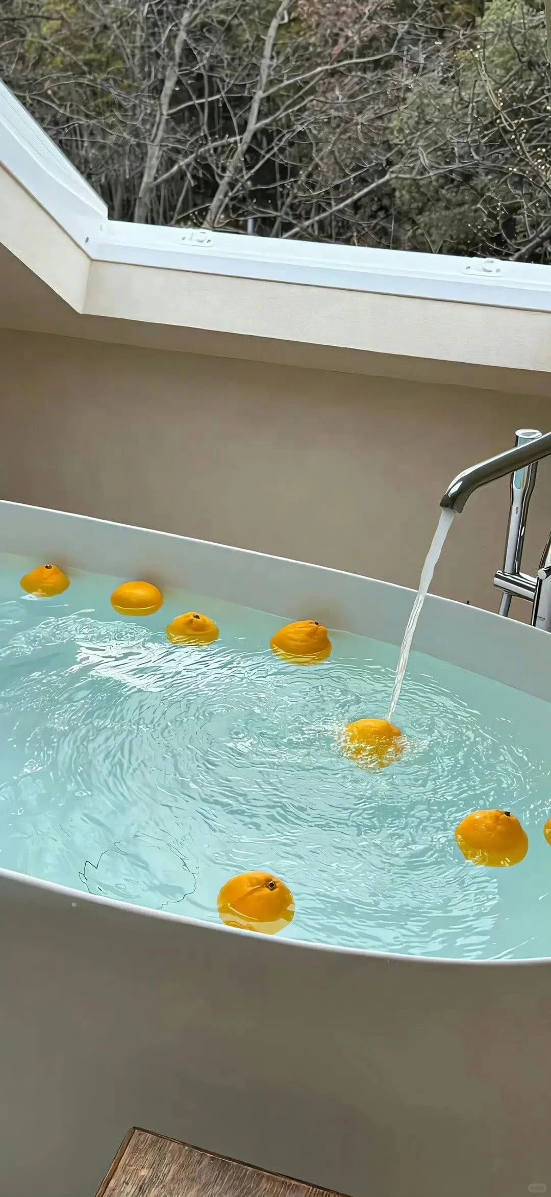 𝙎𝙃𝘼𝙍𝙀 | 清凉壁纸🍋