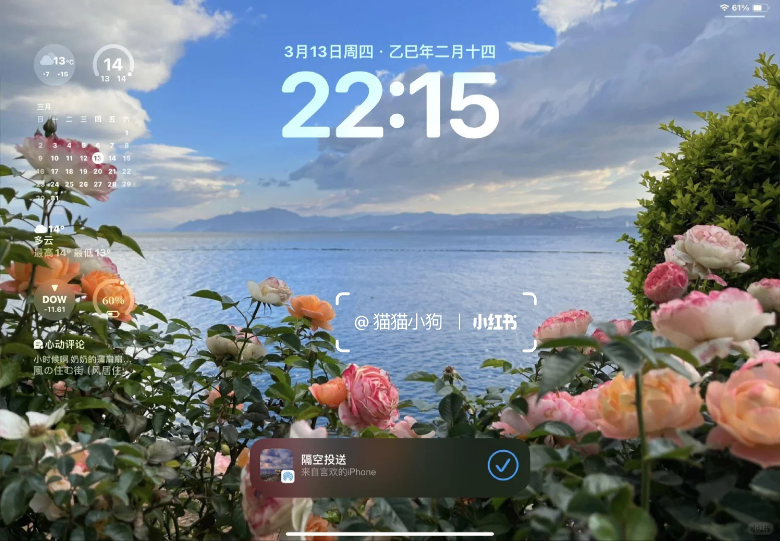 iPad氛围感干净壁纸～🌿