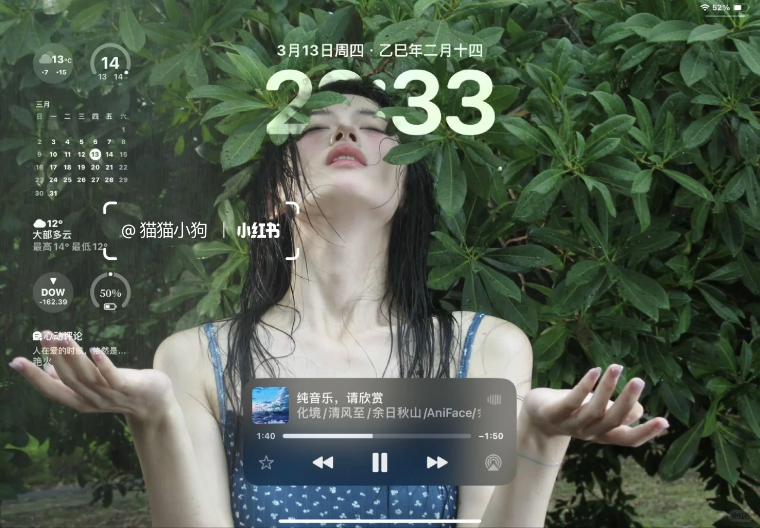 iPad氛围感干净壁纸～🌿