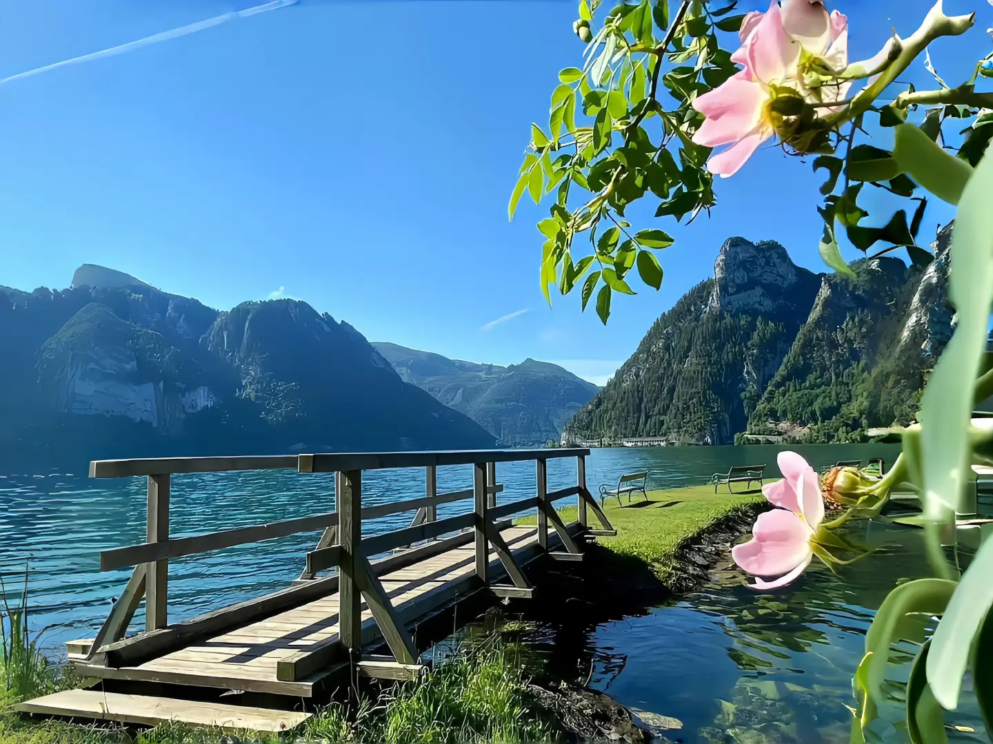 𝑺𝒉𝒂𝒓𝒆｜治愈系风景平板/电脑壁纸🌸