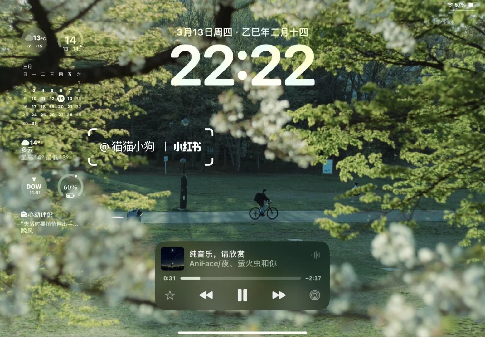 iPad氛围感干净壁纸～🌿