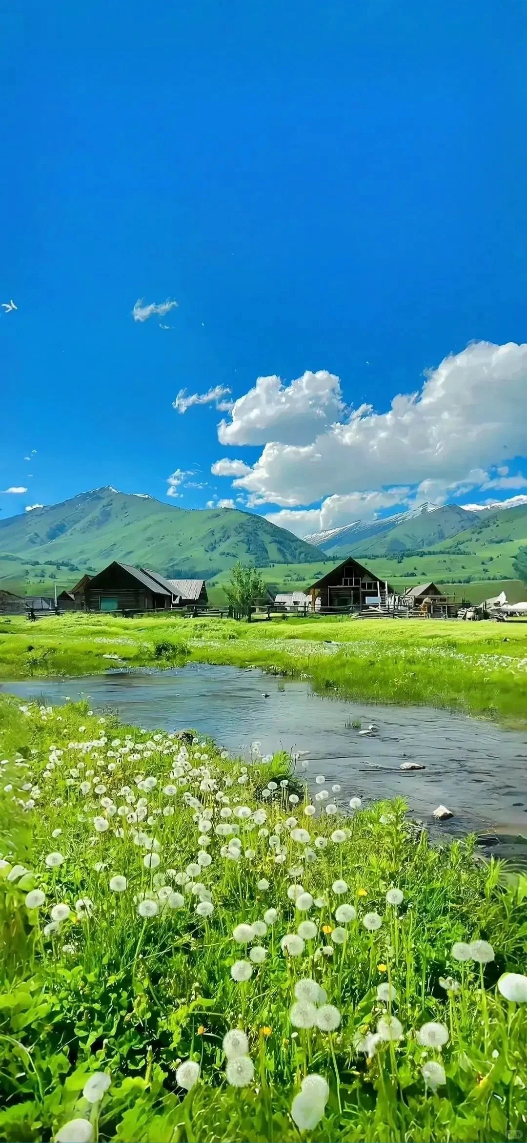 漂亮手机壁纸