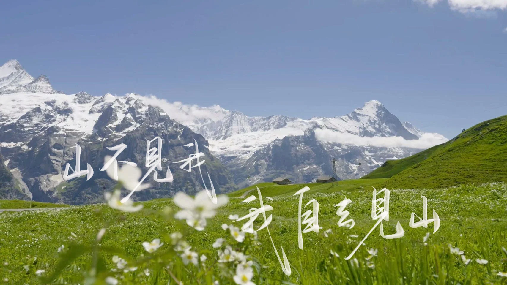 手写壁纸×平板壁纸 4