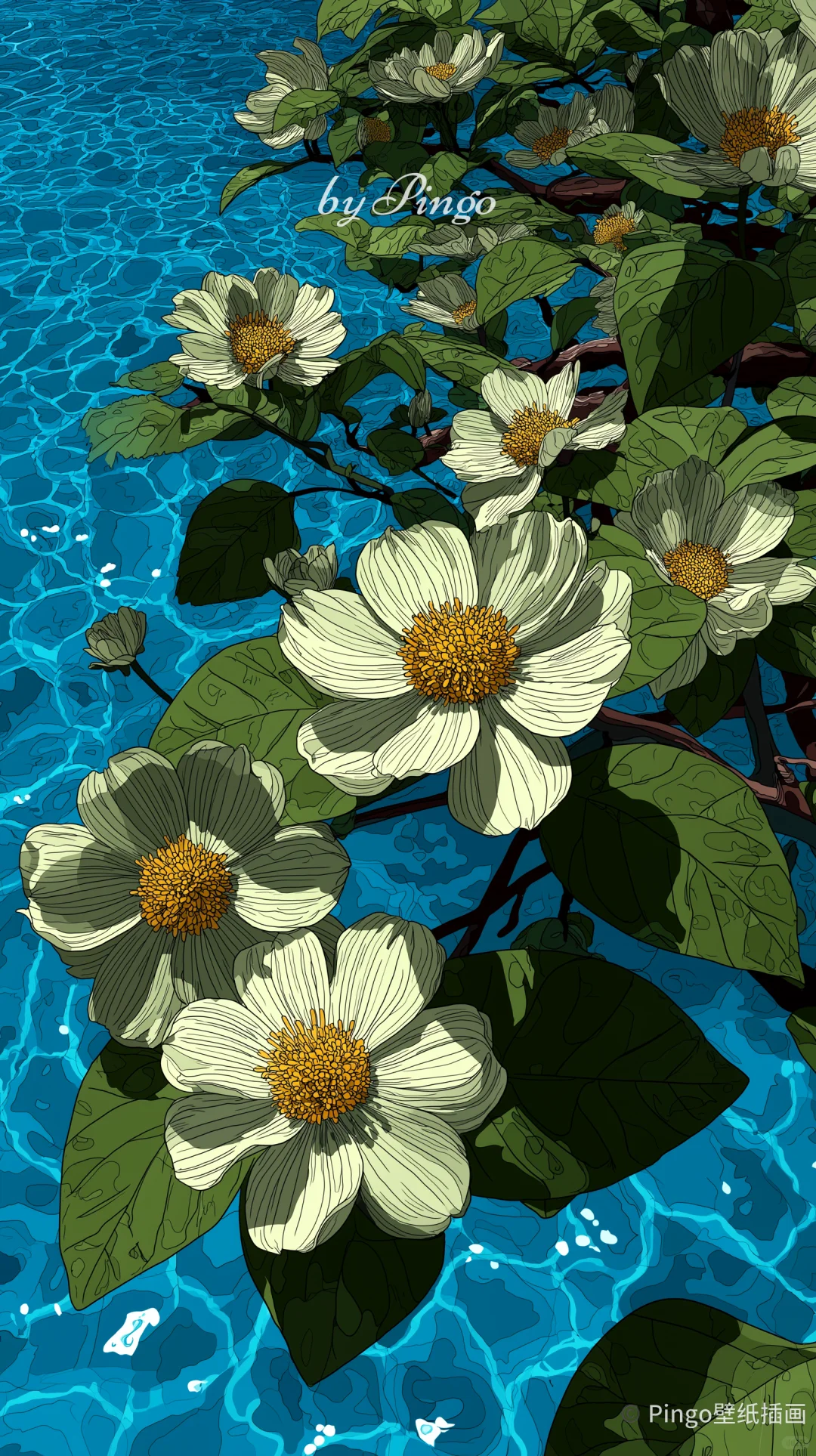 𝓟𝓲𝓷𝓰𝓸 📲 插画｜夏日 003