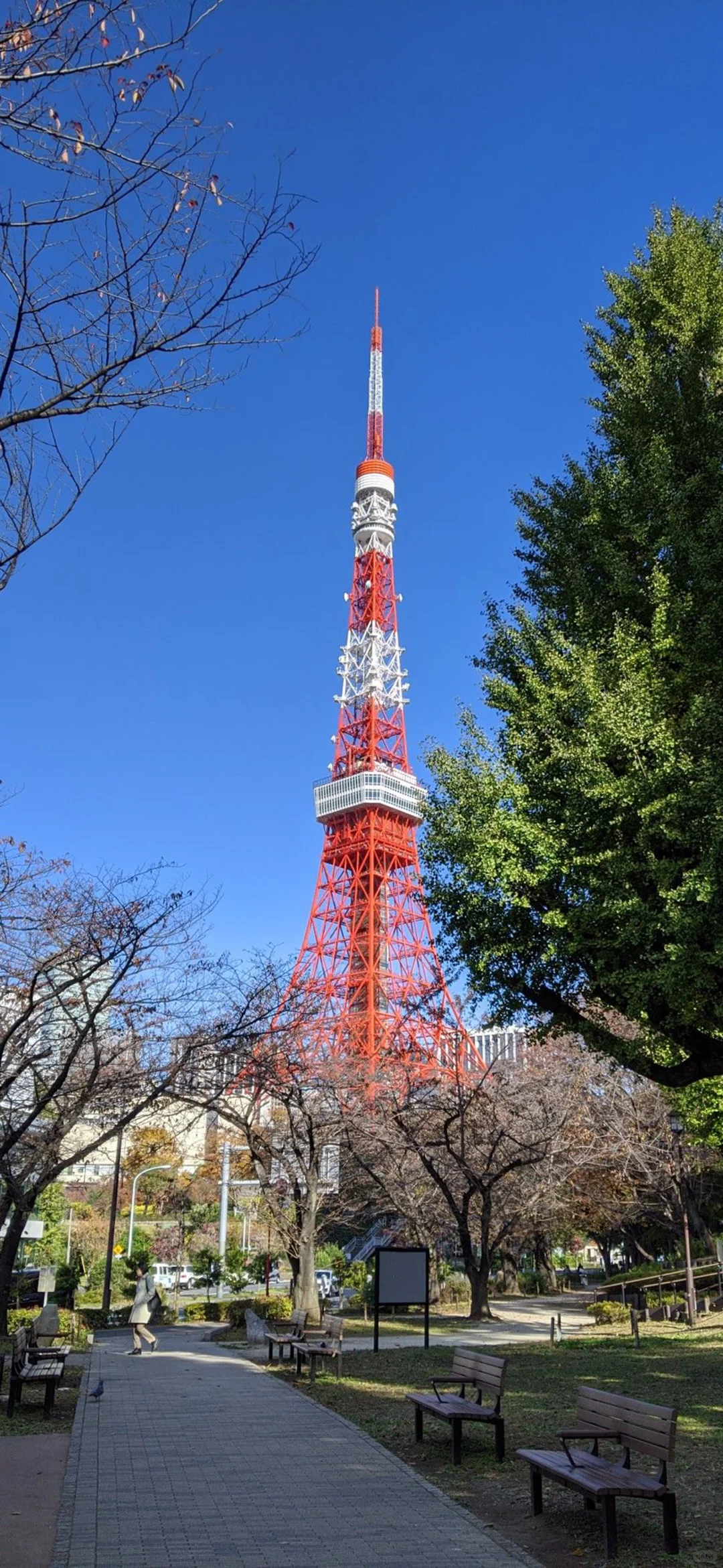 东京塔壁纸