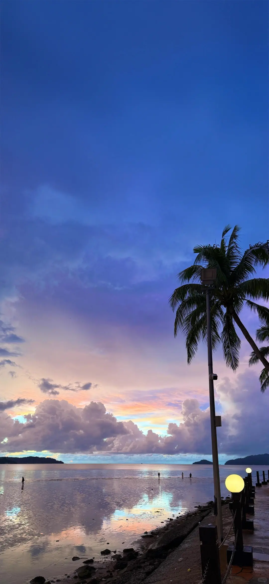 𝐒𝐡𝐚𝐫𝐞｜iPhone高清壁纸