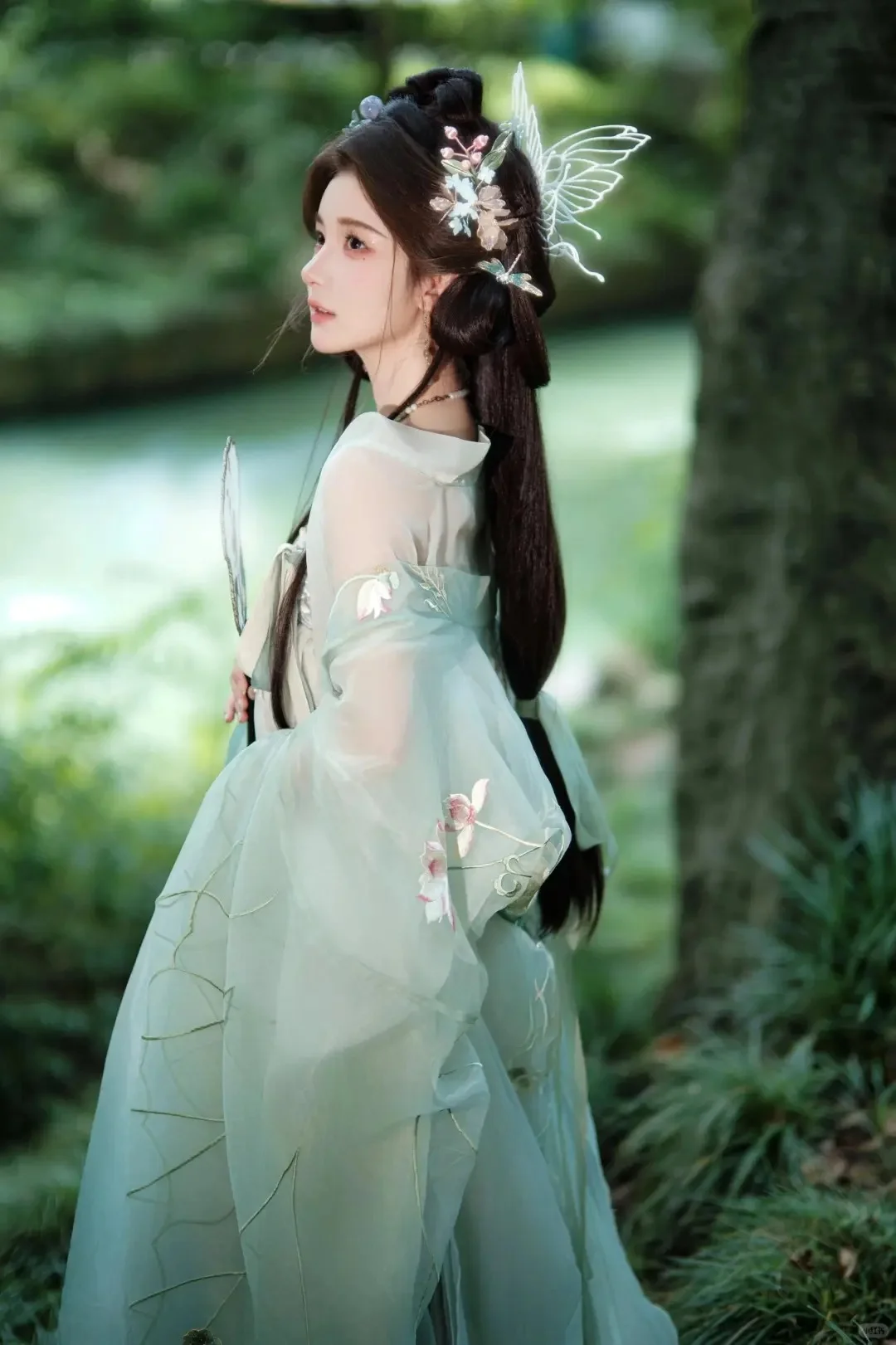 苏州轻网感的绿色蝴蝶仙子也太美了吧❗❗