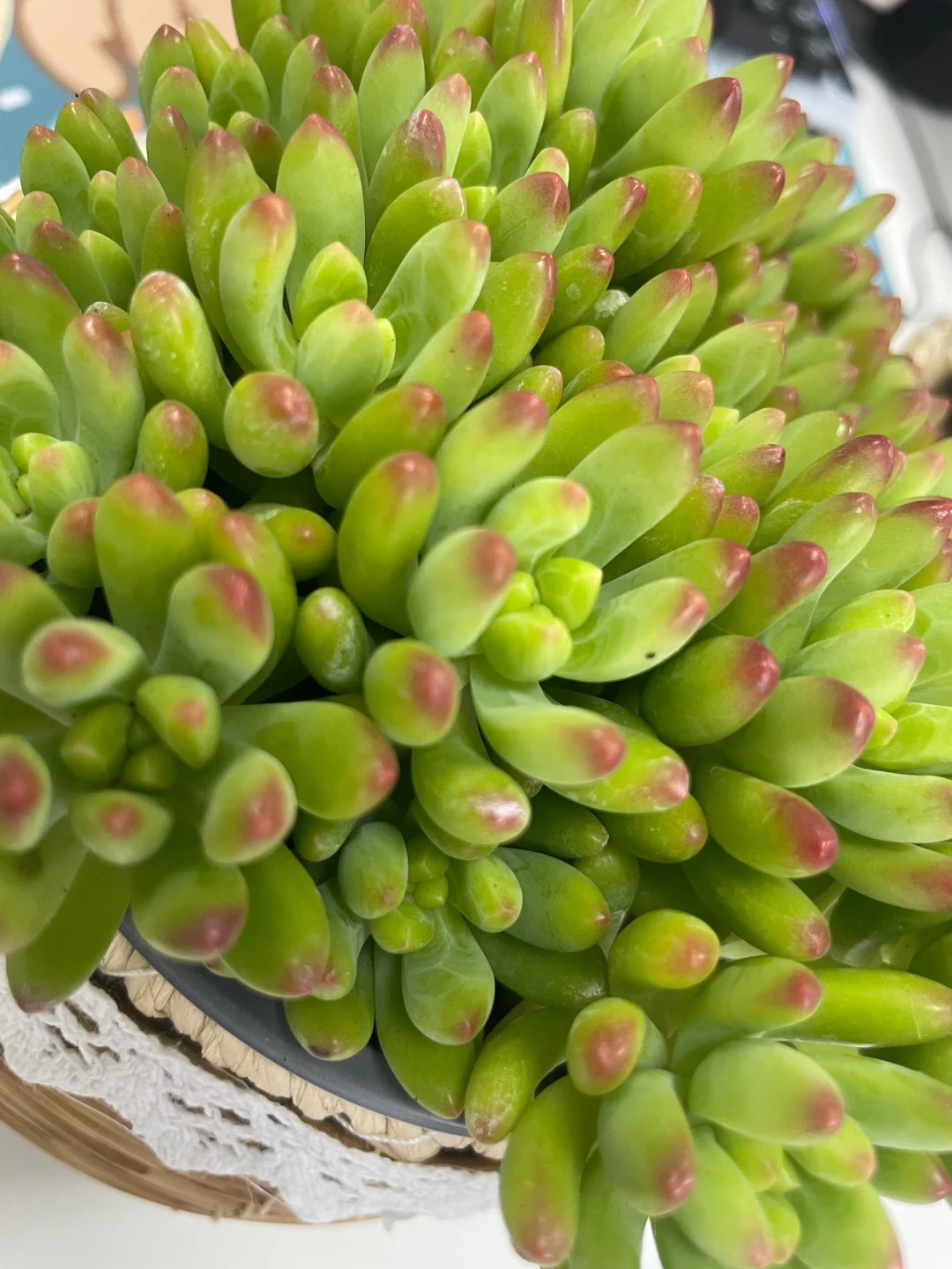 40岁 素颜也可以很美