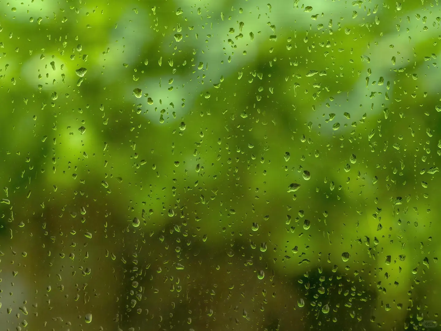 iPad壁纸｜🌧总怪小雨