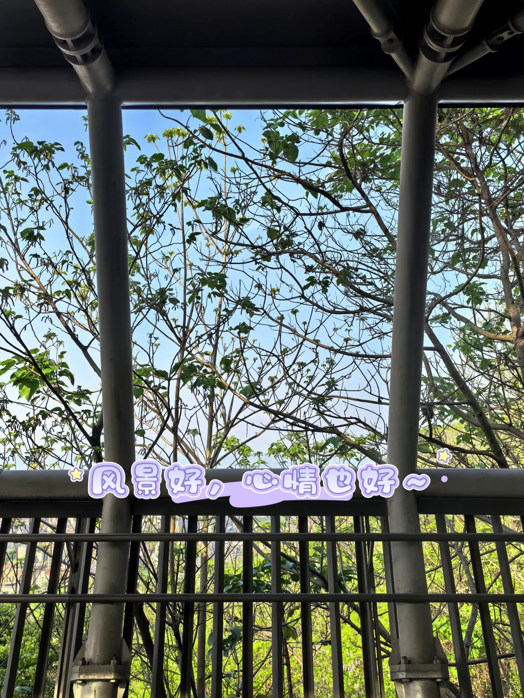 03女研报道！ISFJ 的小频道开业啦✨