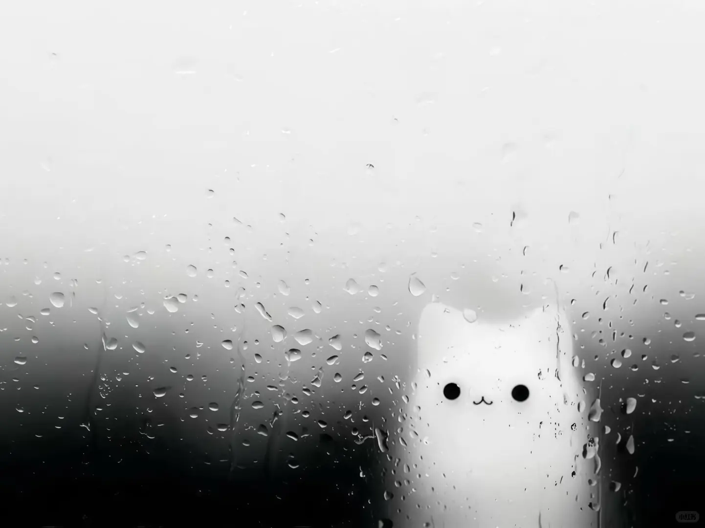iPad壁纸｜🌧总怪小雨