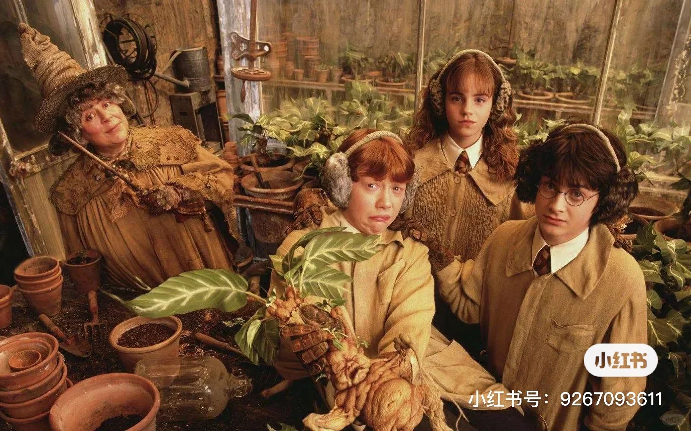 哈迷平板壁纸