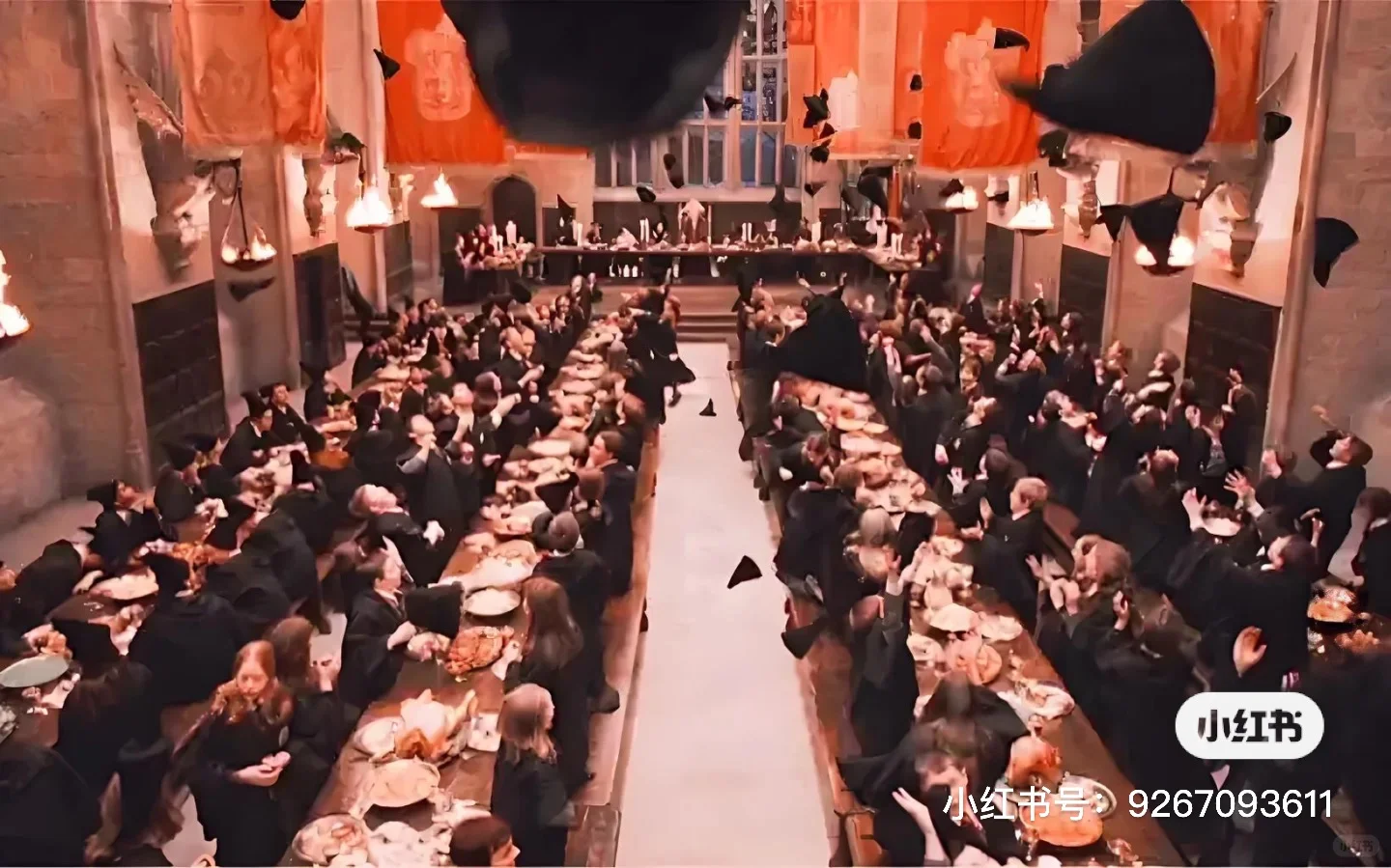 哈迷平板壁纸