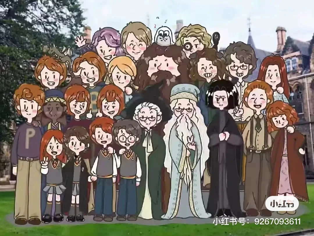 哈迷平板壁纸
