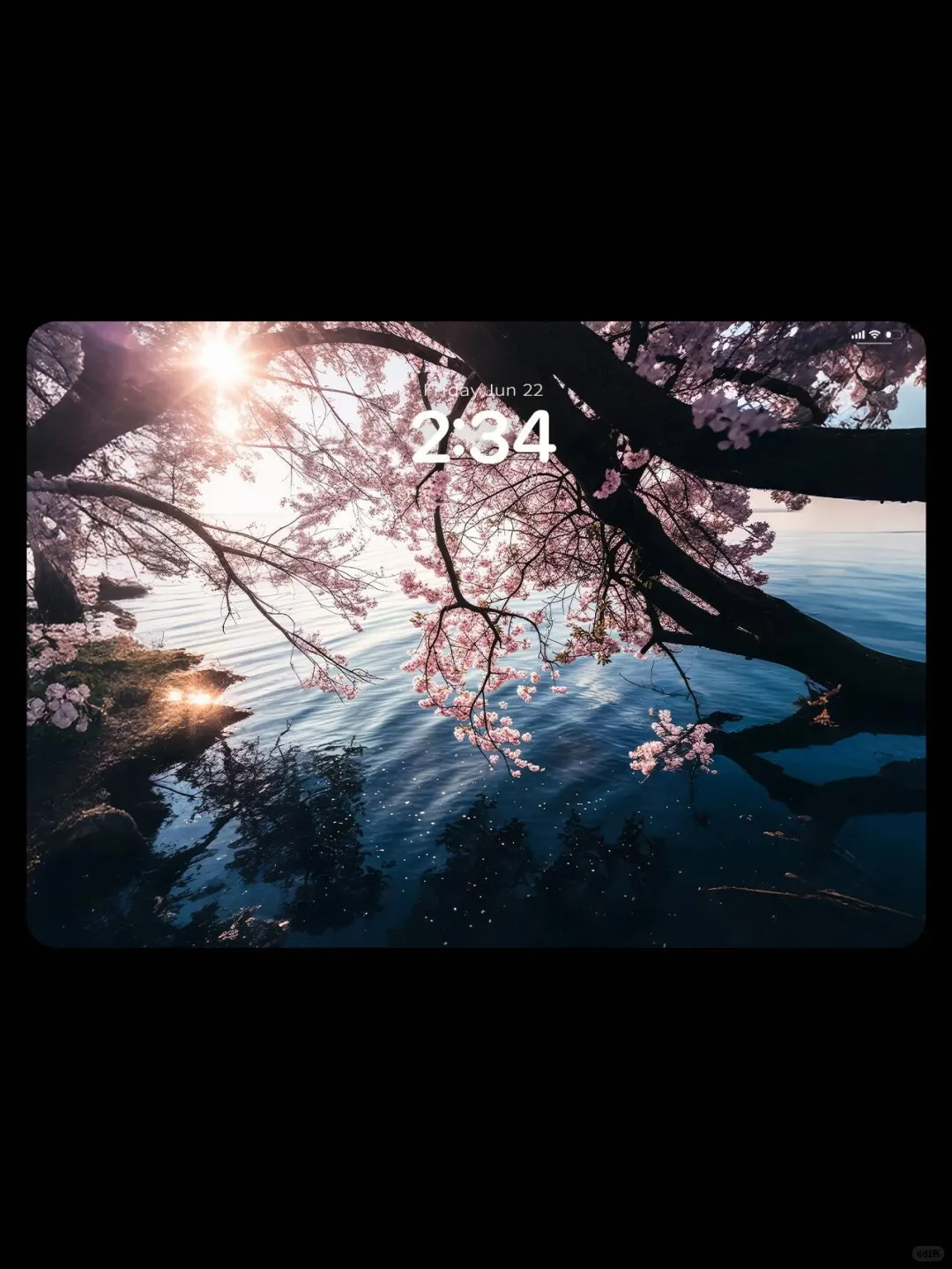 湖畔樱花，春日浪漫🌸 ｜壁纸