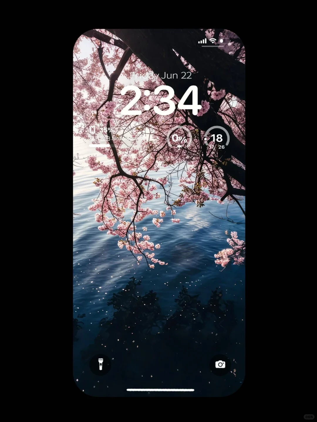 湖畔樱花，春日浪漫🌸 ｜壁纸
