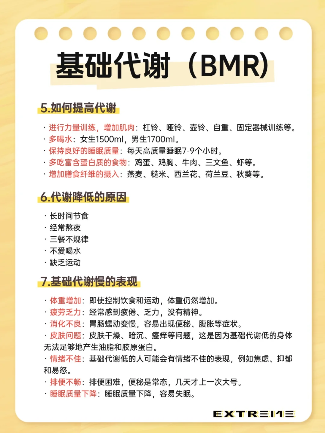 基础代谢❗️