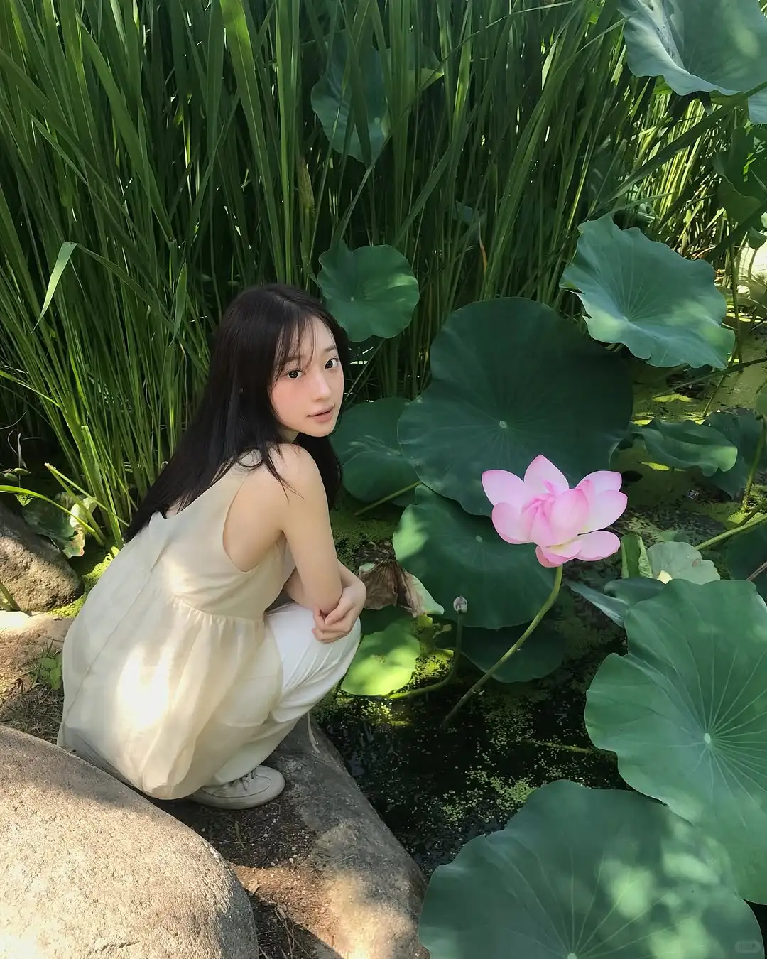 审美积累｜盛夏里的一抹绿🍃