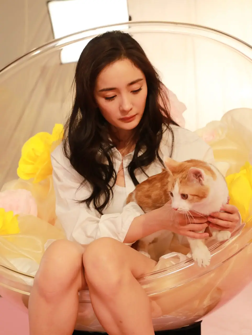 杨幂性感写真