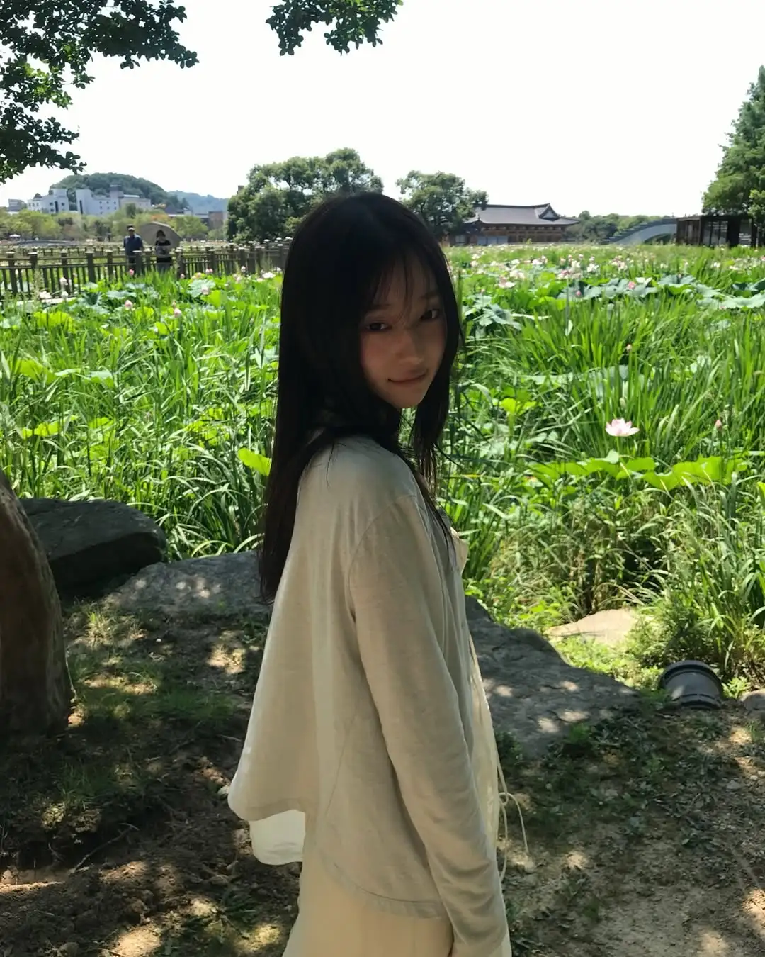 审美积累｜盛夏里的一抹绿🍃