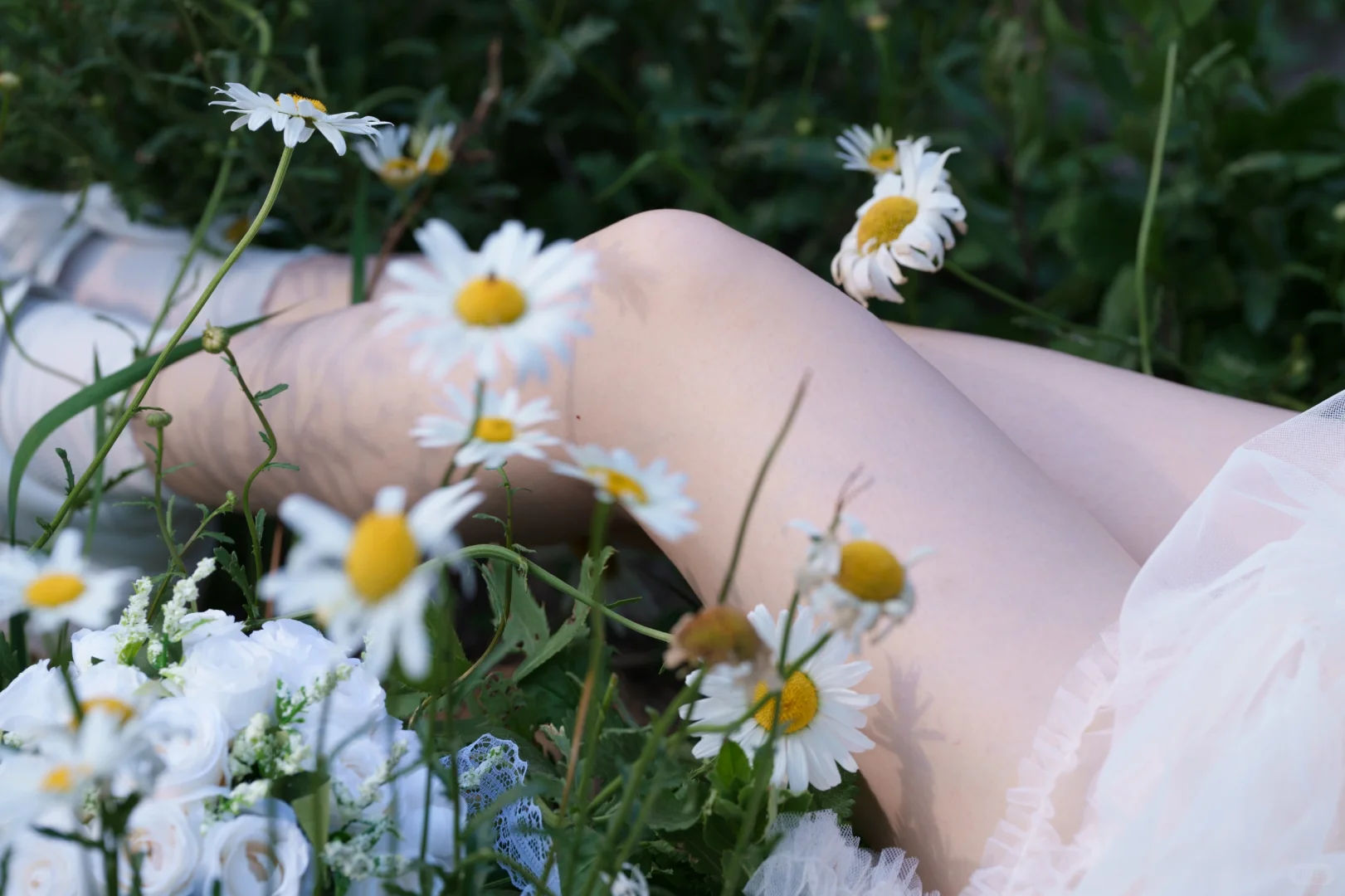 雏菊少女🌼夏日写真