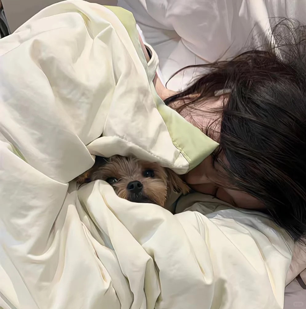 回归辣☞高质量小众女头✔