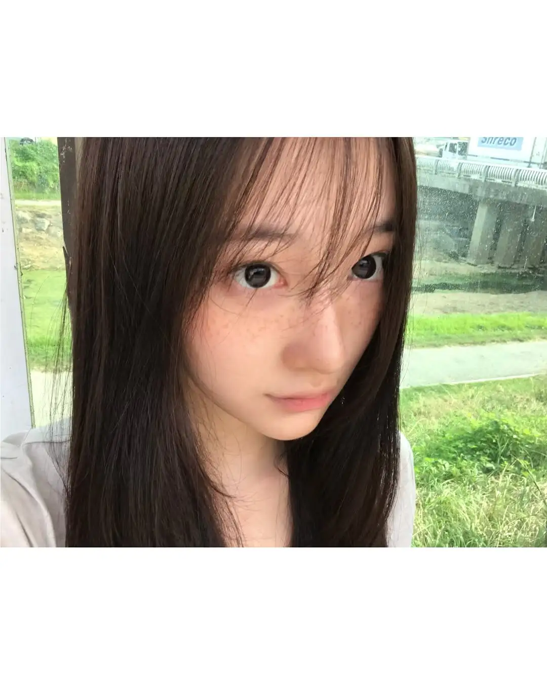 审美积累｜盛夏里的一抹绿🍃