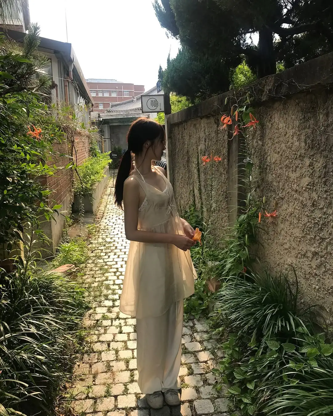 审美积累｜盛夏里的一抹绿🍃