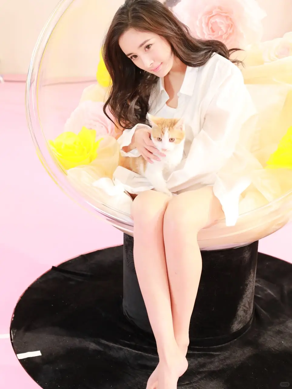 杨幂性感写真