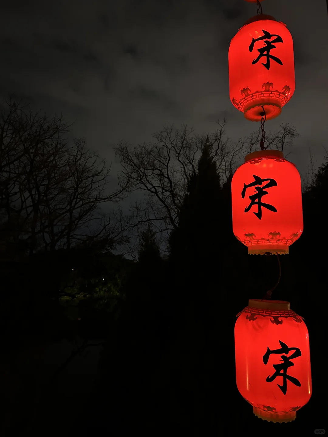 试问卷帘人却道海棠依旧