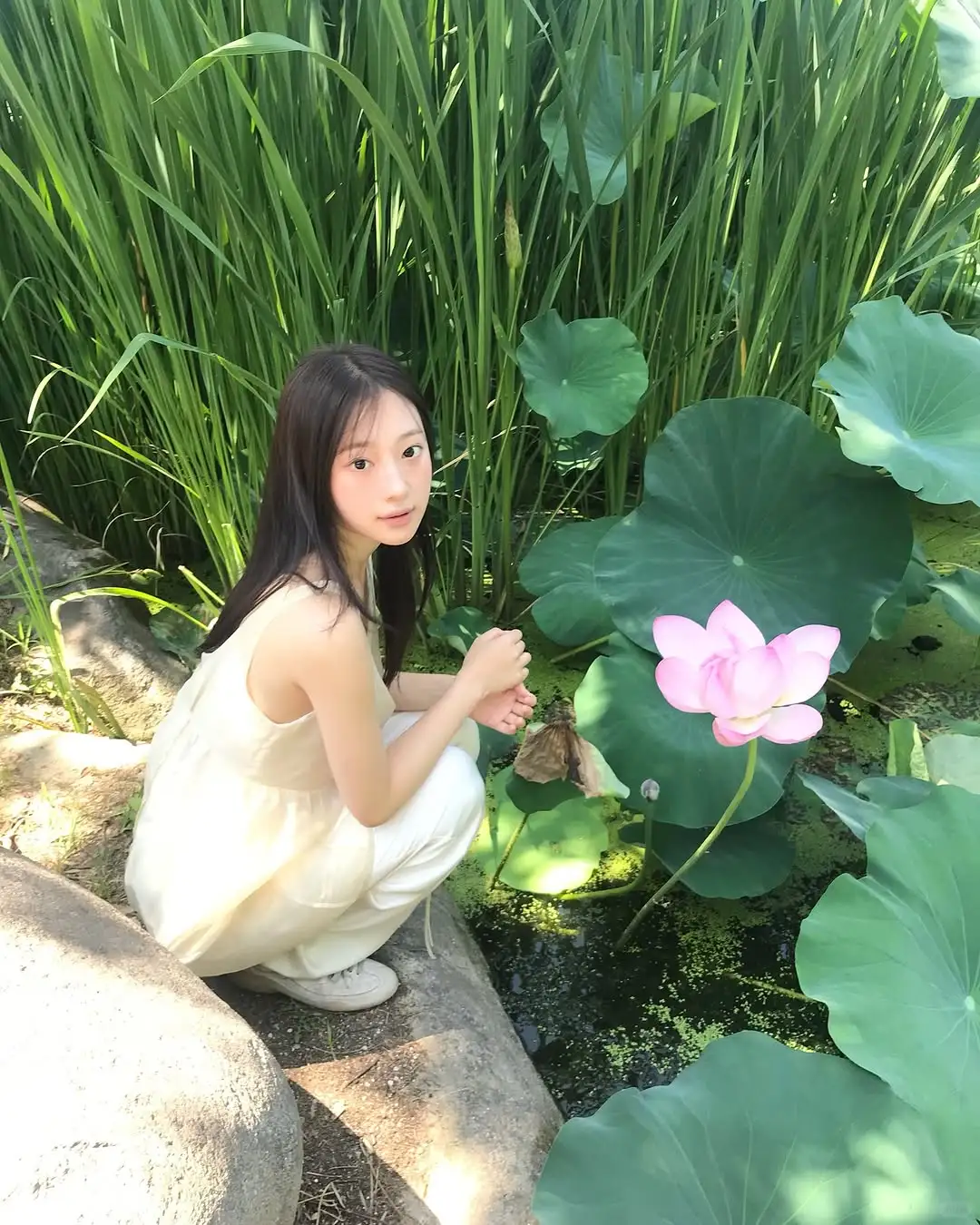 审美积累｜盛夏里的一抹绿🍃