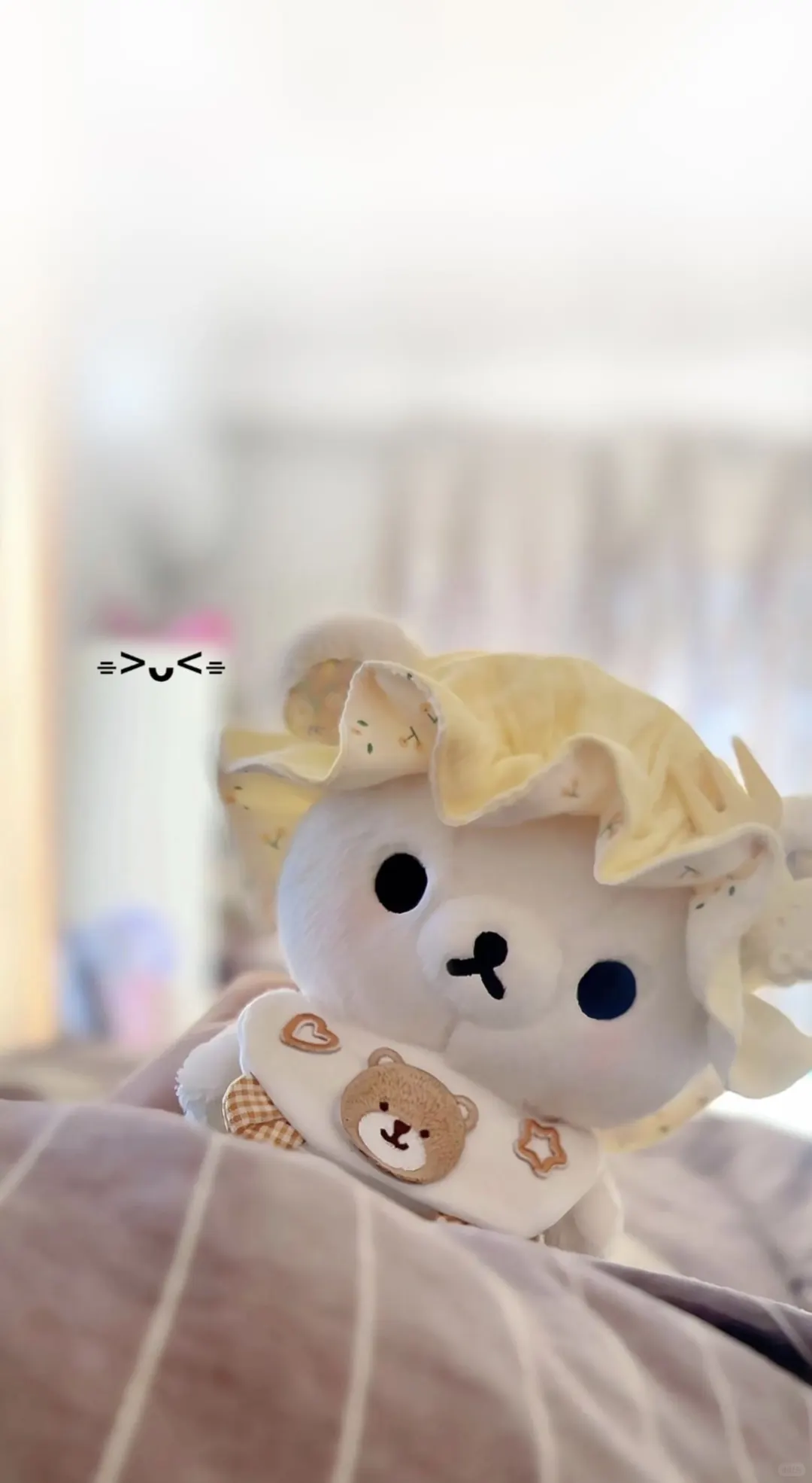 萌物！🐻
