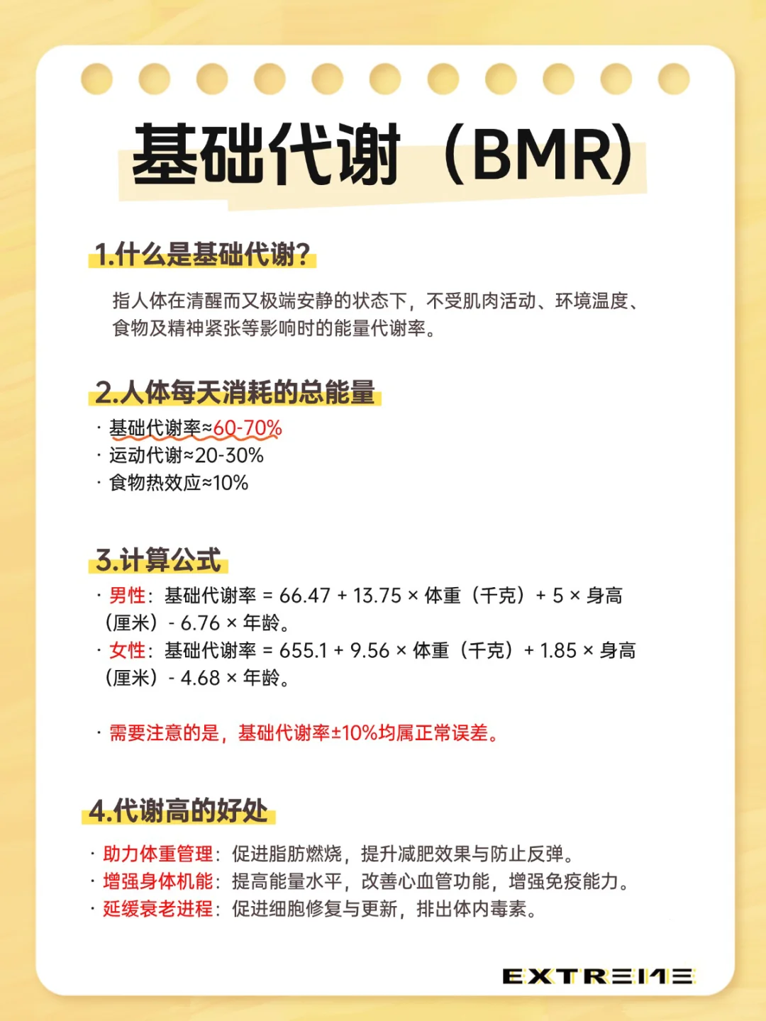 基础代谢❗️