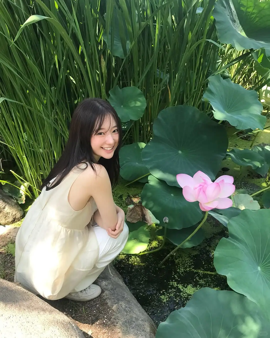 审美积累｜盛夏里的一抹绿🍃