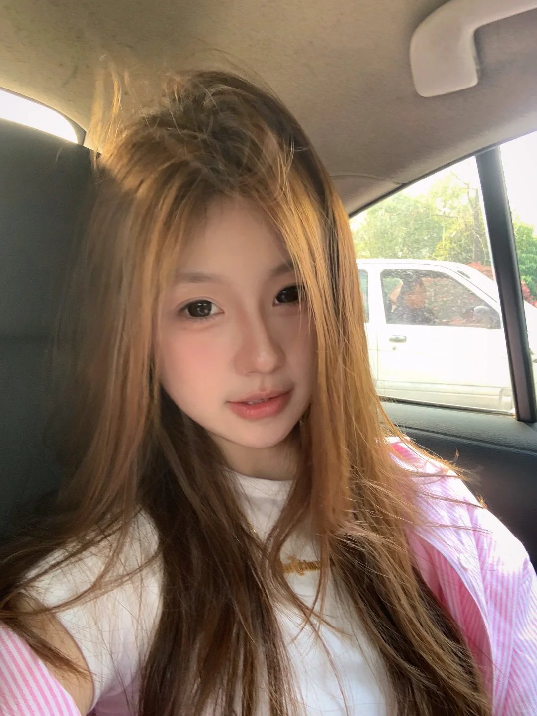 春天就长这样🌸