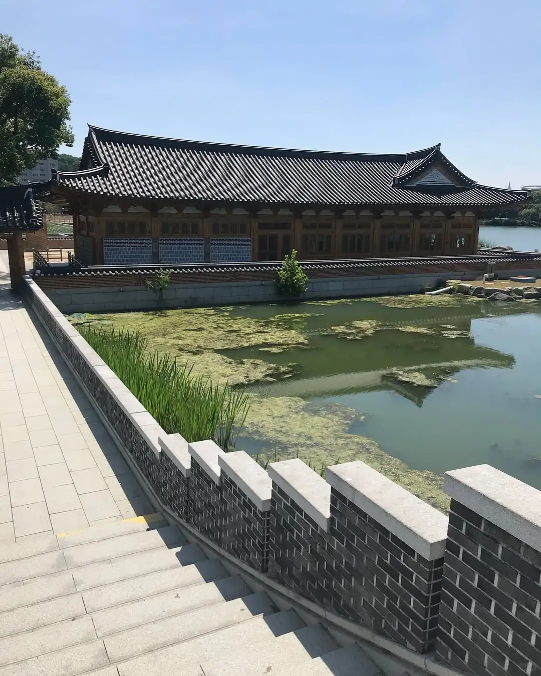 审美积累｜盛夏里的一抹绿🍃