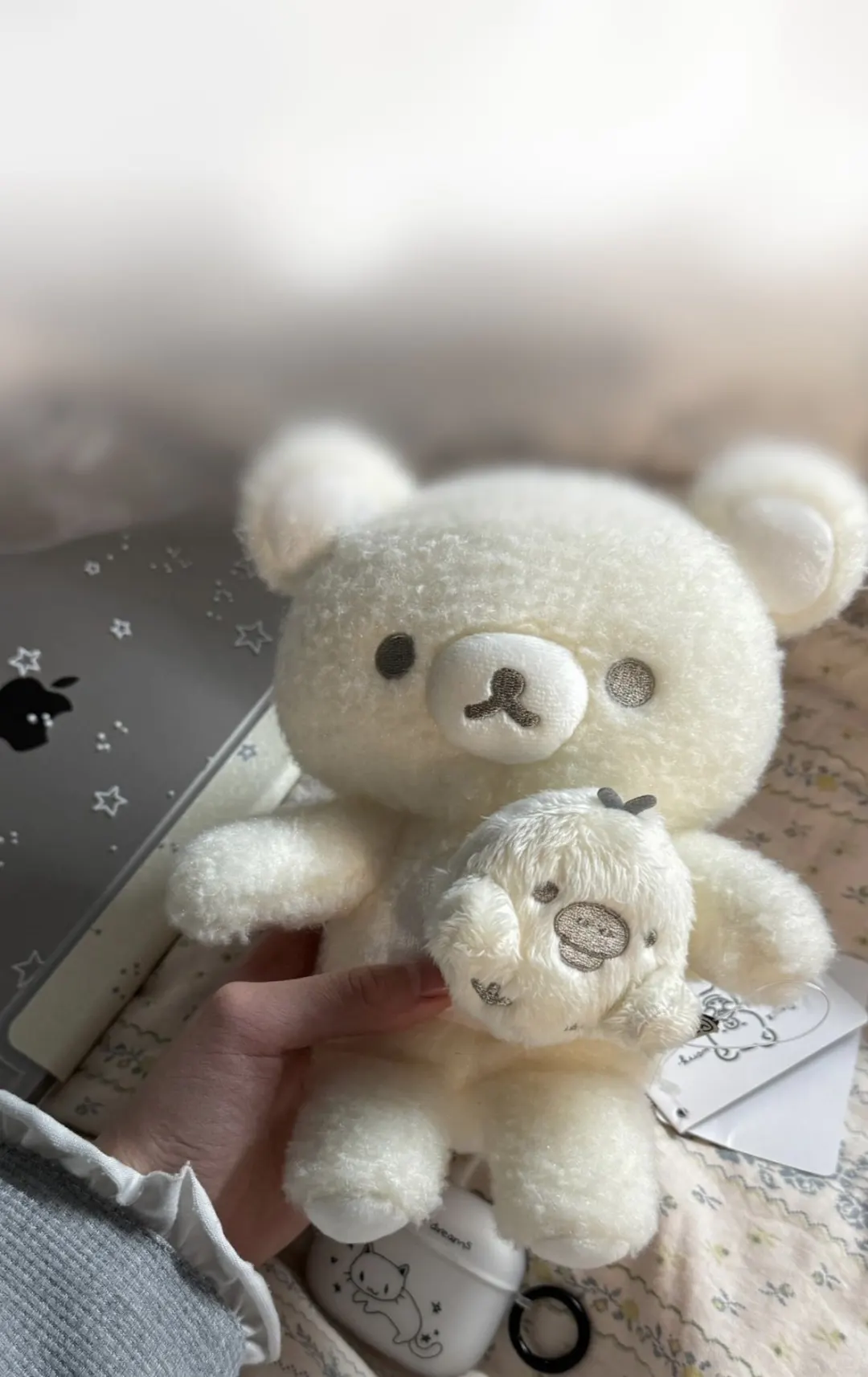 萌物！🐻