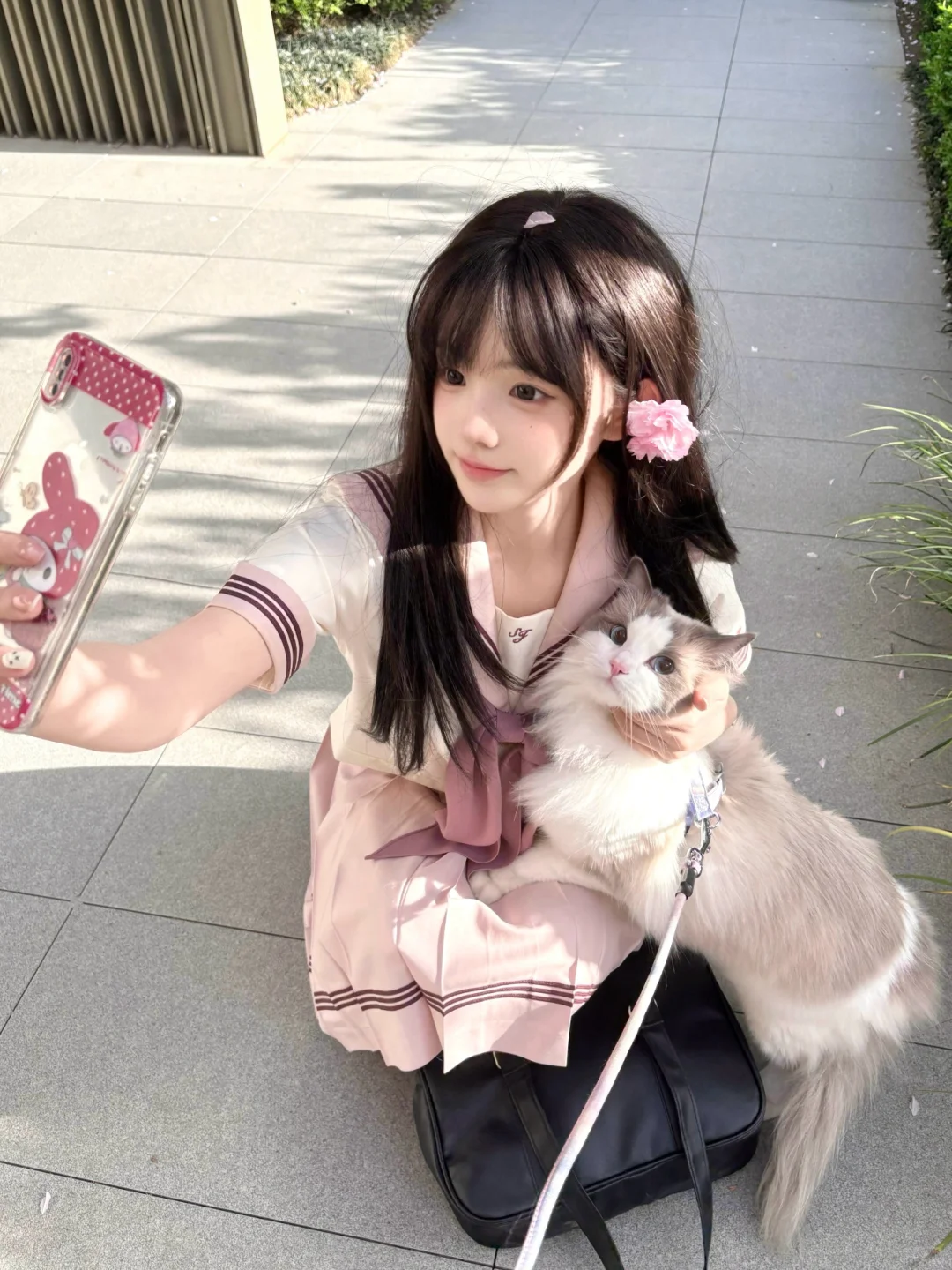 嗨 小猫