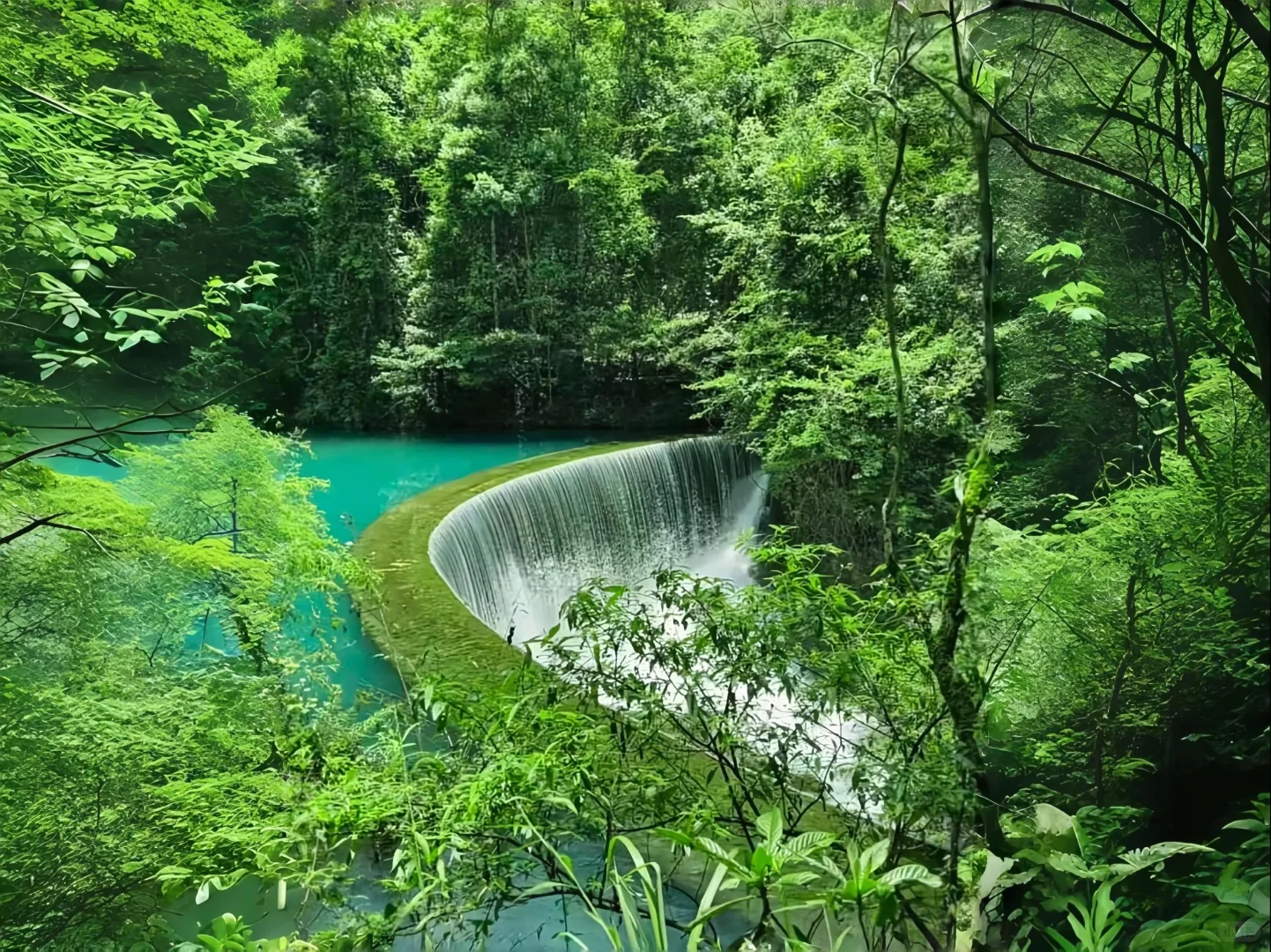 治愈系电脑 iPad 背景图💙🌿🌸☁️