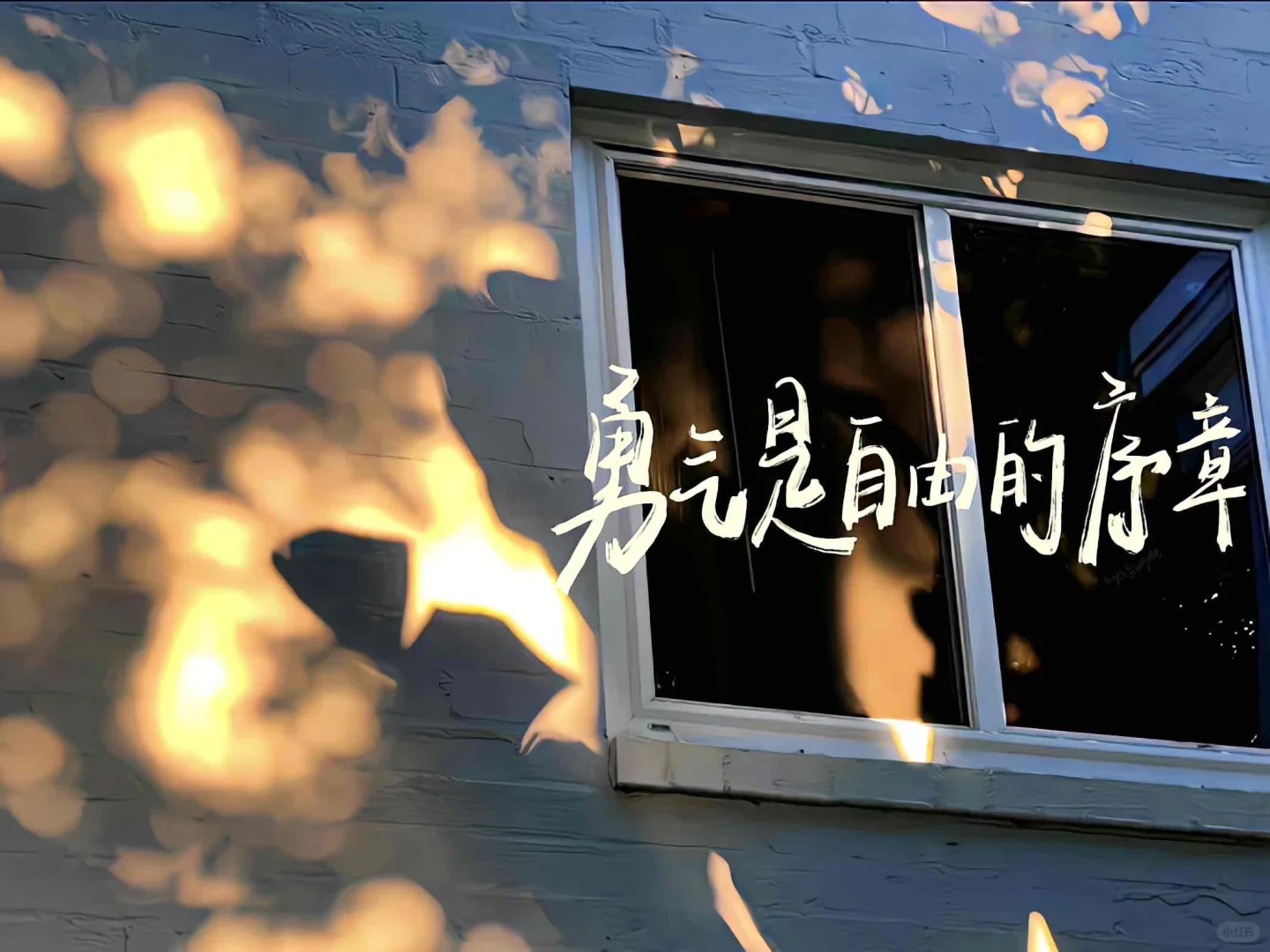 4.19平板壁纸｜勇气是自由的序章