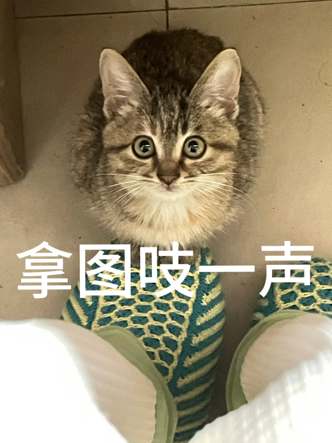 有你 不觉得别人好 因为你最好