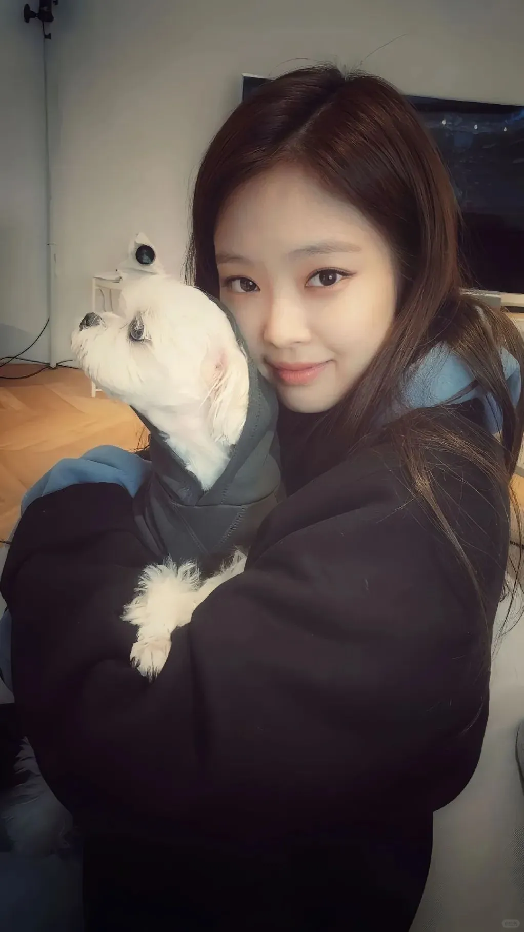JENNIE｜小众壁纸