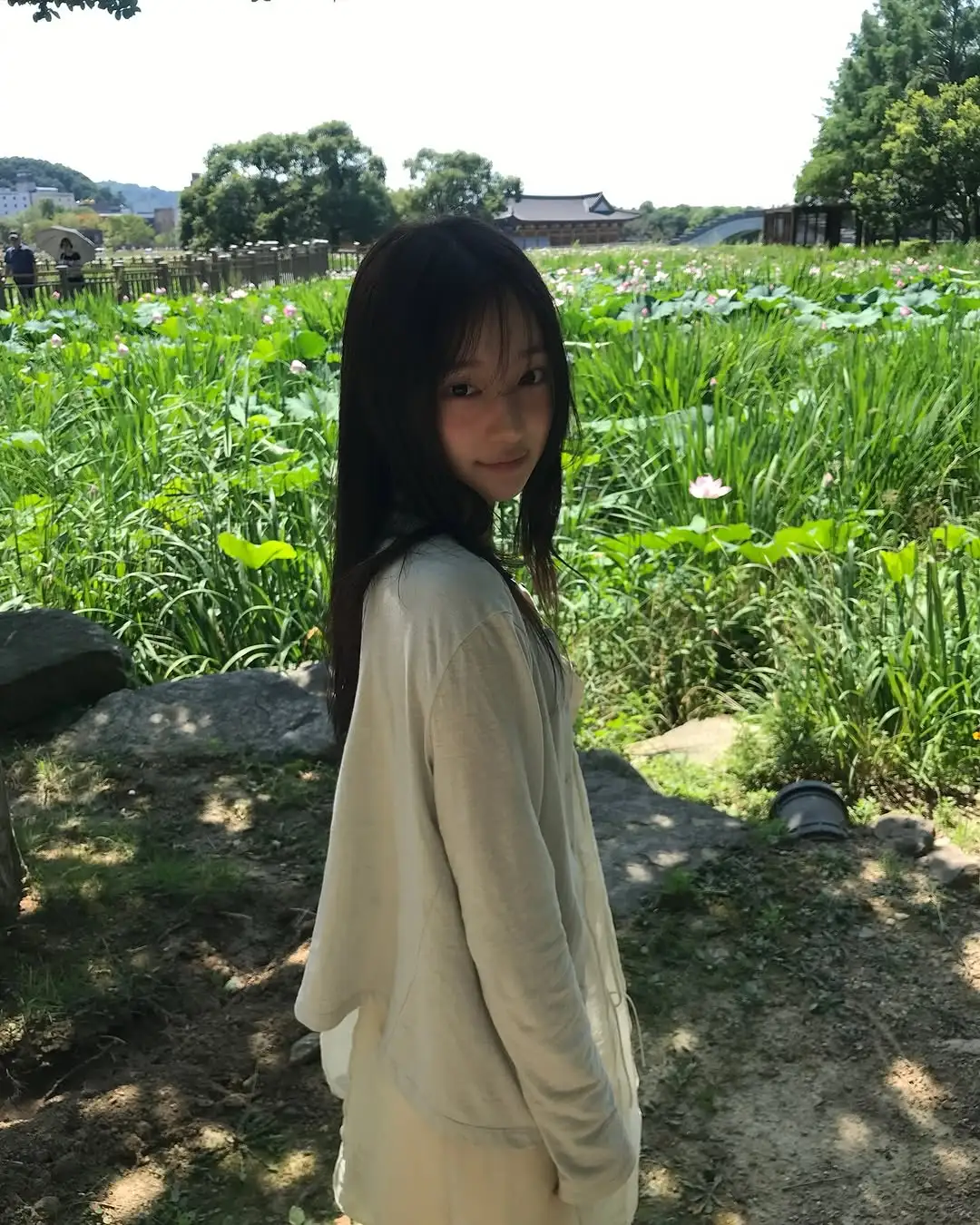 审美积累｜盛夏里的一抹绿🍃