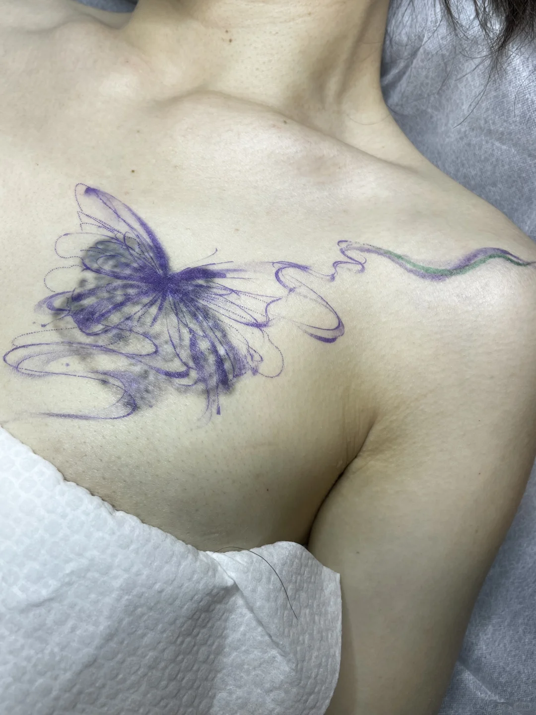 💙🦋水墨蝴蝶｜遮盖旧图